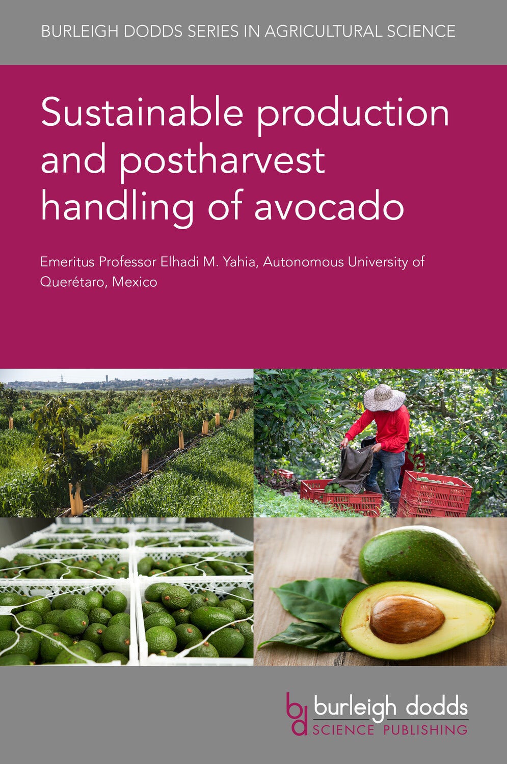 Book cover image for Sustainable production and postharvest handling of avocado ISBN: 9781801467254
